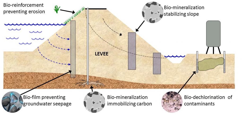 Overview of Bio-Treatment Soil Improvement Dystems (Jason DeJong, personal communication, 2012) Overview of Bio-Treatment Soil Improvement Dystems (Jason DeJong, personal communication, 2012)
