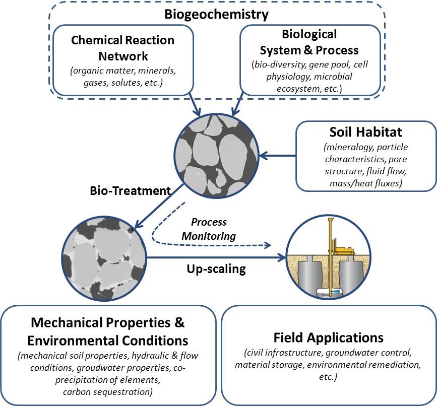 Overview of bio-treatment soil improvement systems Adpated from DeJong et al. (2011) Overview of bio-treatment soil improvement systems Adpated from DeJong et al. (2011)