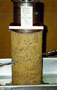 Fiber reinforced soil sample in lab. Courtesy the U.S. Army Corps of Engineers. Fiber reinforced soil sample in lab. Courtesy the U.S. Army Corps of Engineers.