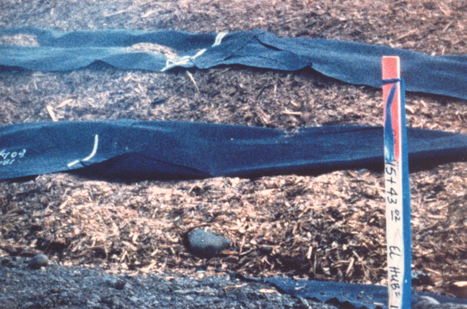 Construction of wood fiber embankment. Courtesy of FHWA. Construction of wood fiber embankment. Courtesy of FHWA.