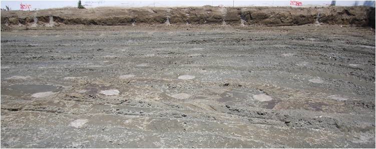 Tops of sand compaction piles after construction in southern California. Courtesy of Fudo Construction, Inc. Tops of sand compaction piles after construction in southern California. Courtesy of Fudo Construction, Inc.