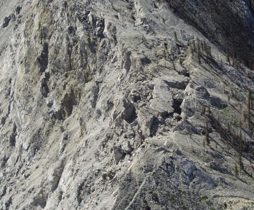 Color photograph