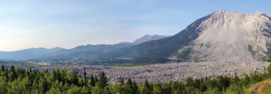 Color photograph