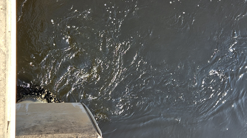 Color photograph of turbulent water